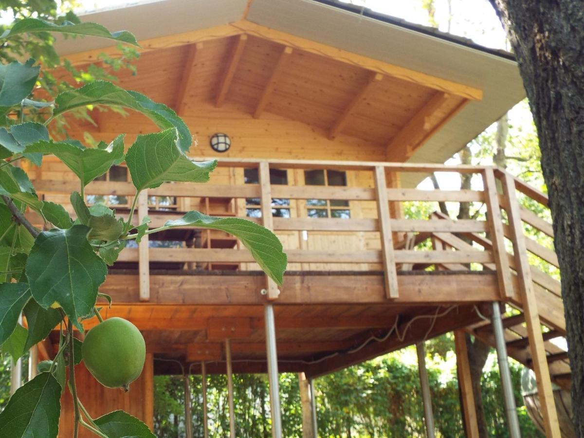 Albavillage Hotel Wellness & Camping Esterno foto